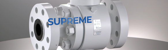 進(jìn)口閥門密封等級(jí)及選用